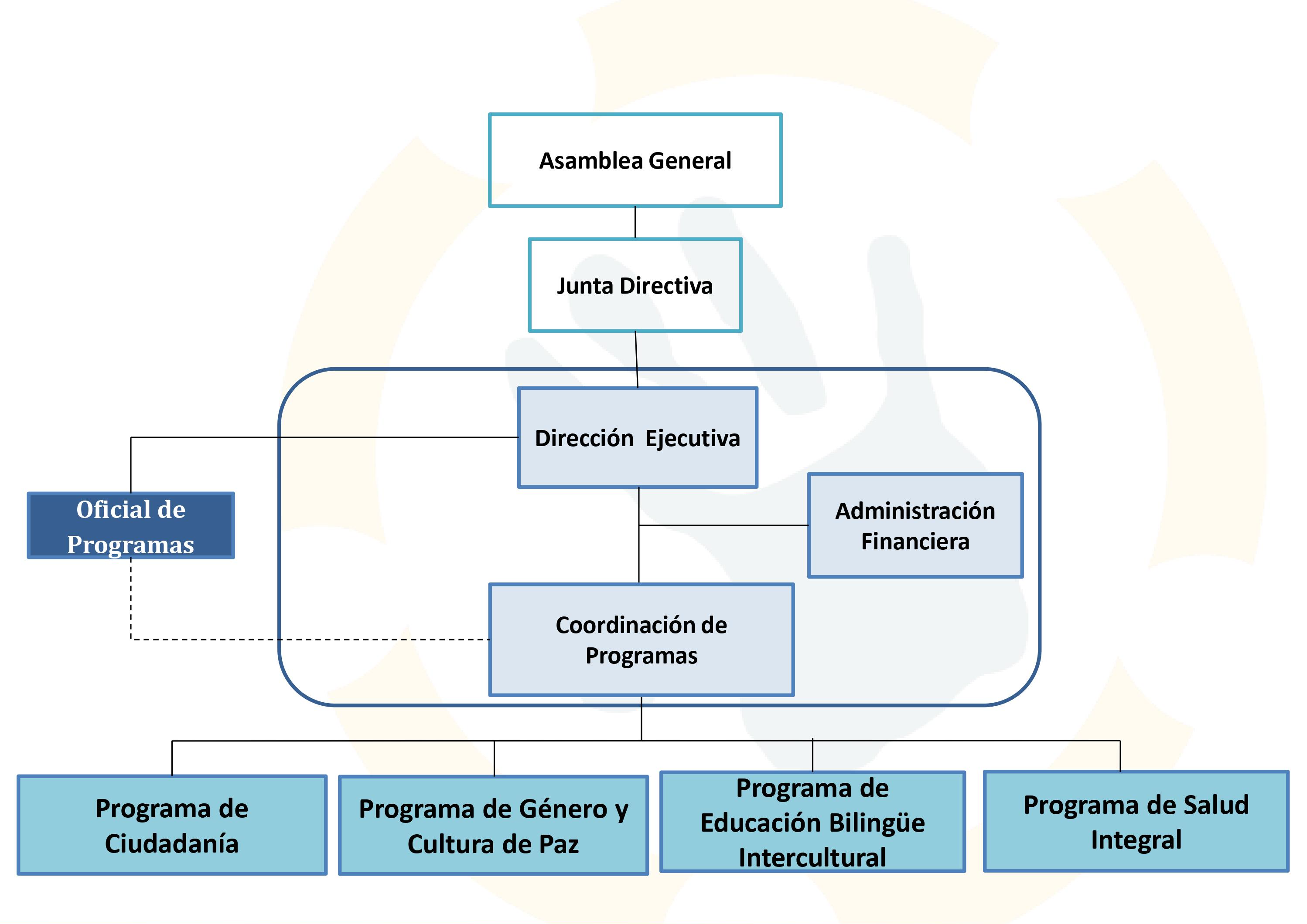 Organigrama