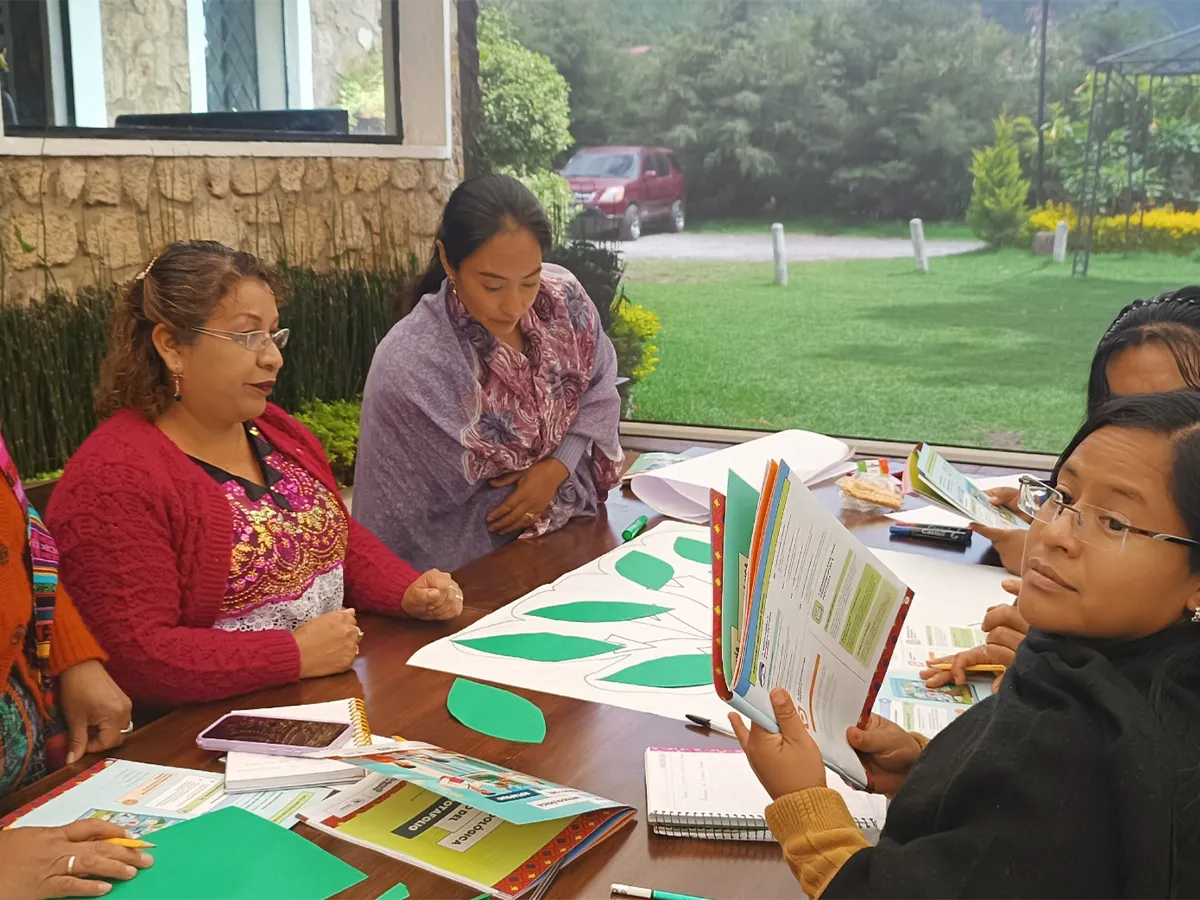 proyecto-ebi-17